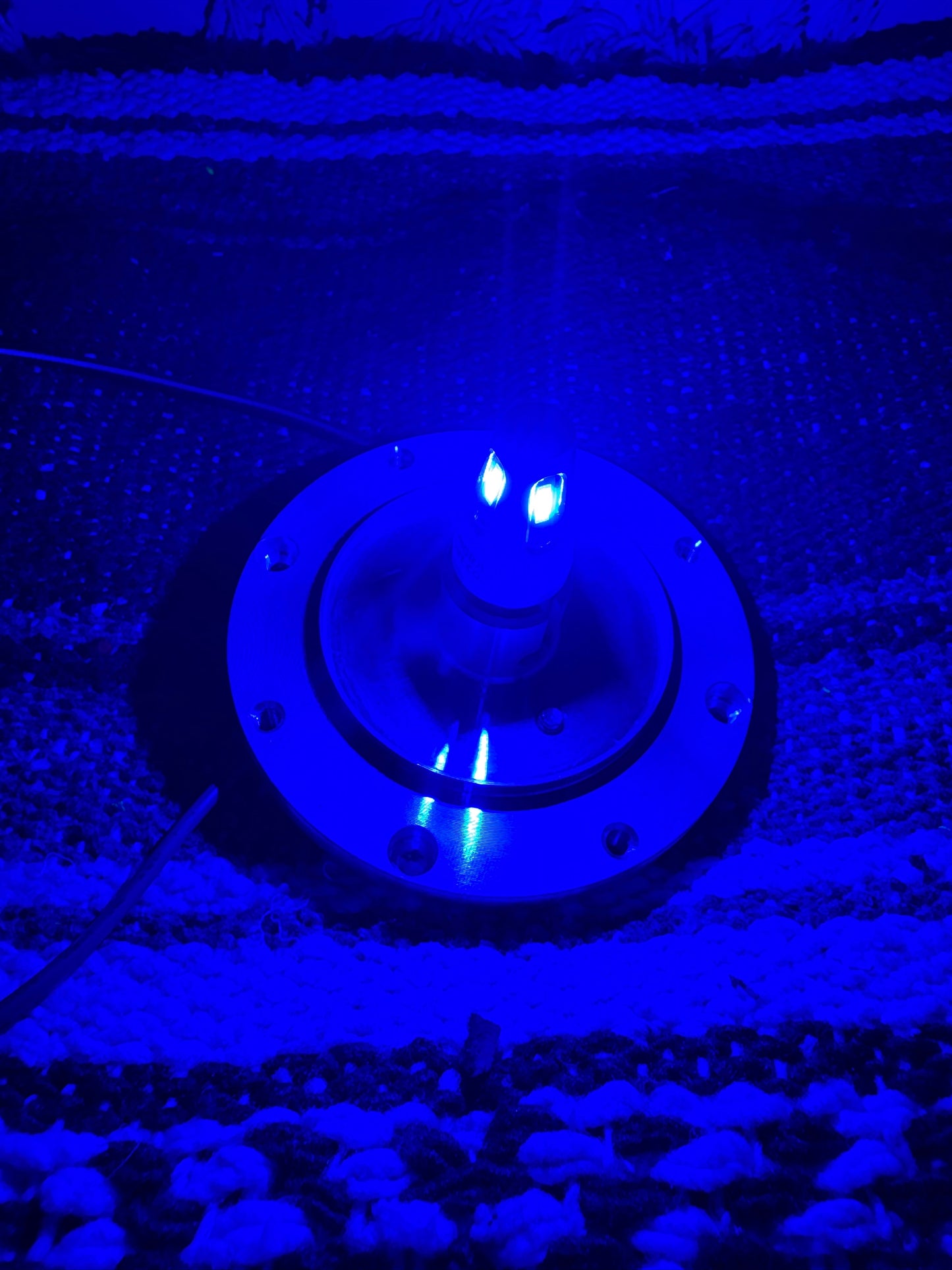Diablo Light Bulb